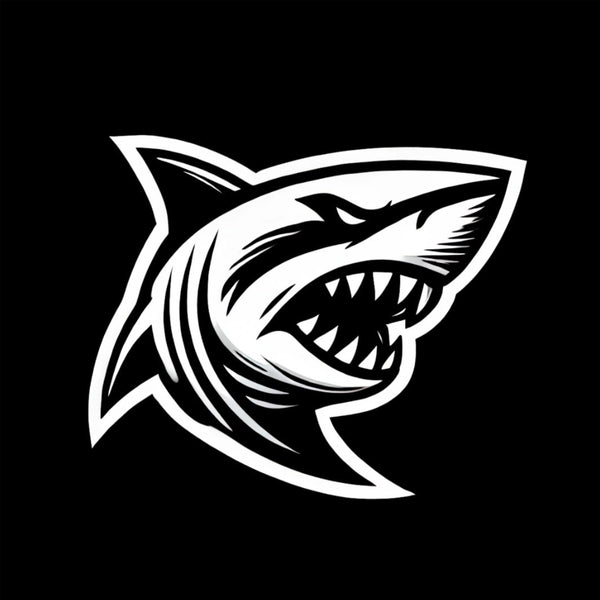 Blackbox auto productos